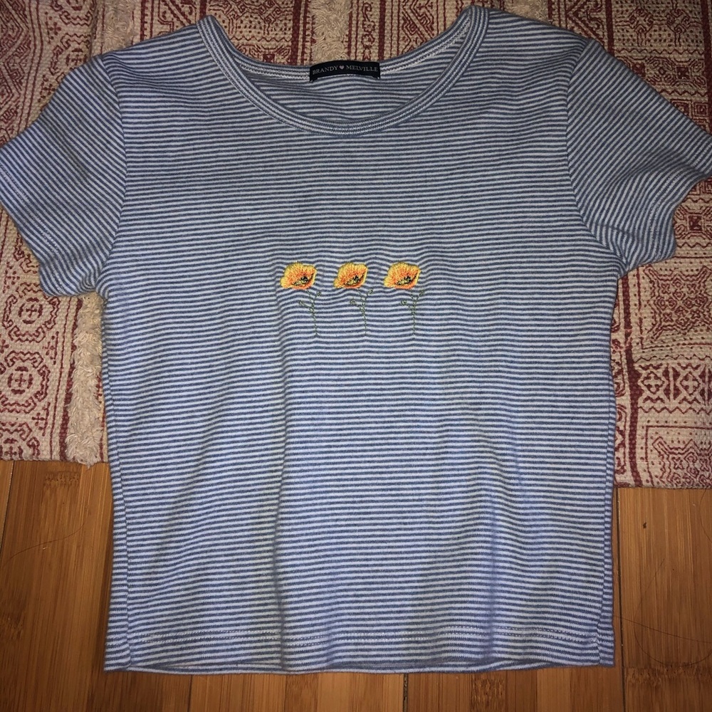 Brandy Melville Top
